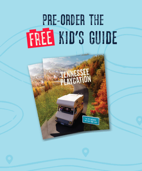 Pre-order the free kid's guide